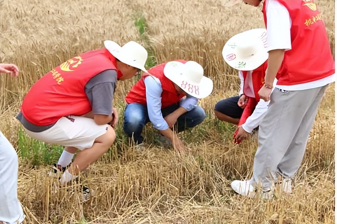 初瑞雪辛有志创业,初瑞雪创业正能量视频