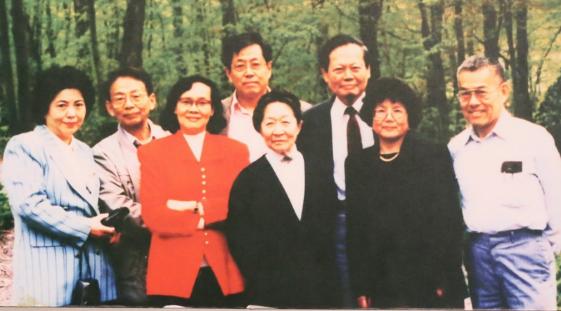 杨振宁有儿女照顾翁帆老了谁照顾,杨振宁与翁帆为什么不要孩子