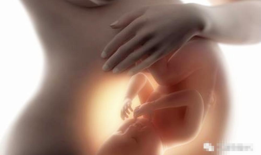 孕晚期宝宝头大一直撑着肚皮,孕晚期宝宝头腹都偏小