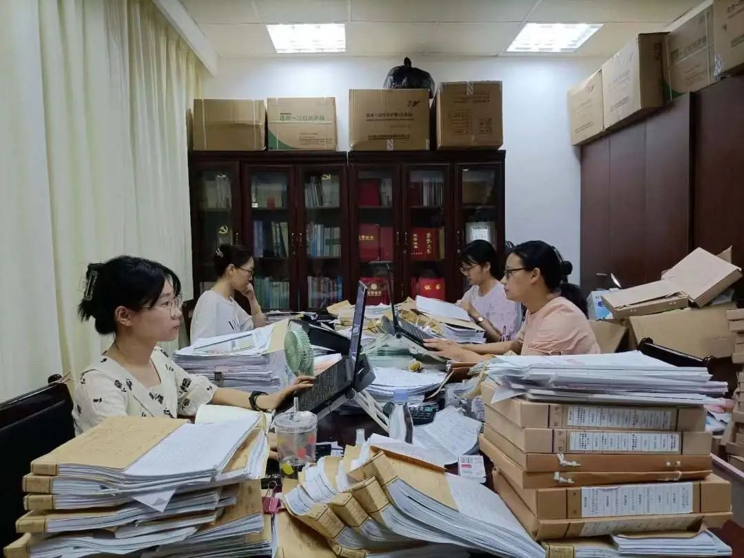 听听审计人的“盛夏果实”