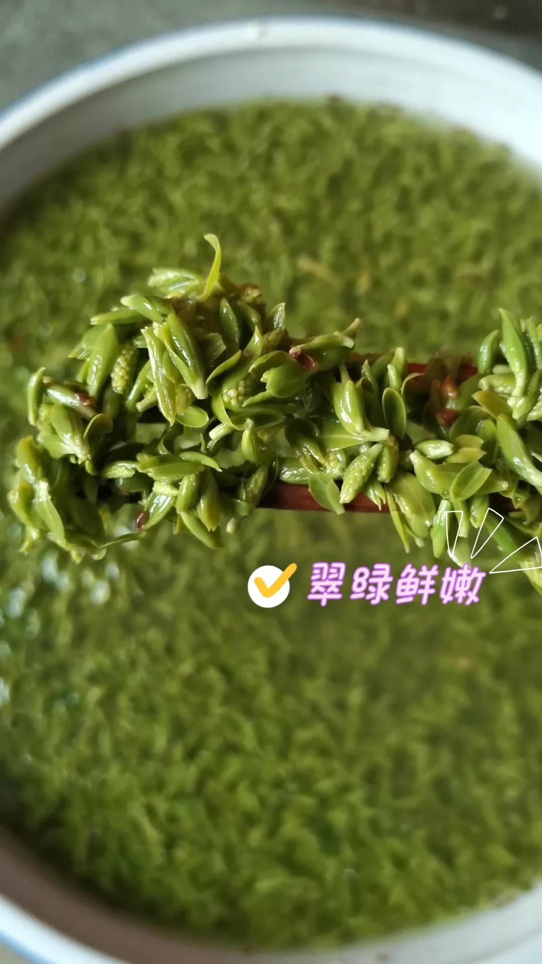 柳叶，春日里切不可辜负的美味……