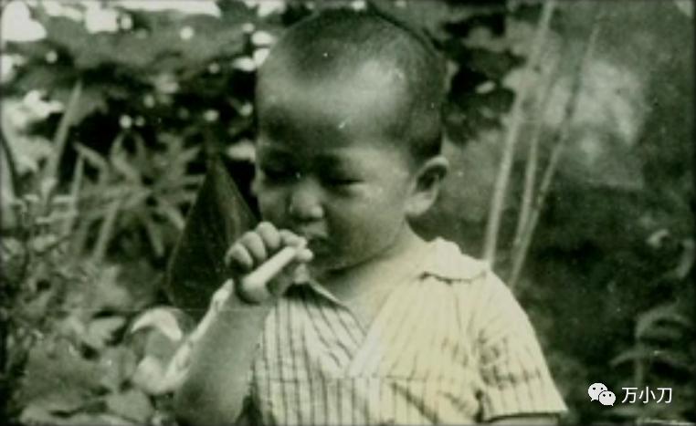 万小刀叶公子,万小刀爆料明星