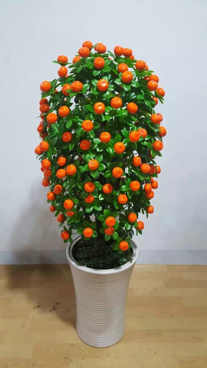 什么花寓意发财好运吉祥,寓意平安招财鸿运的干花