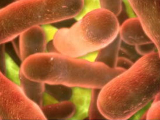 出门后回家应该怎么消毒,菊花的卫生怎么注意