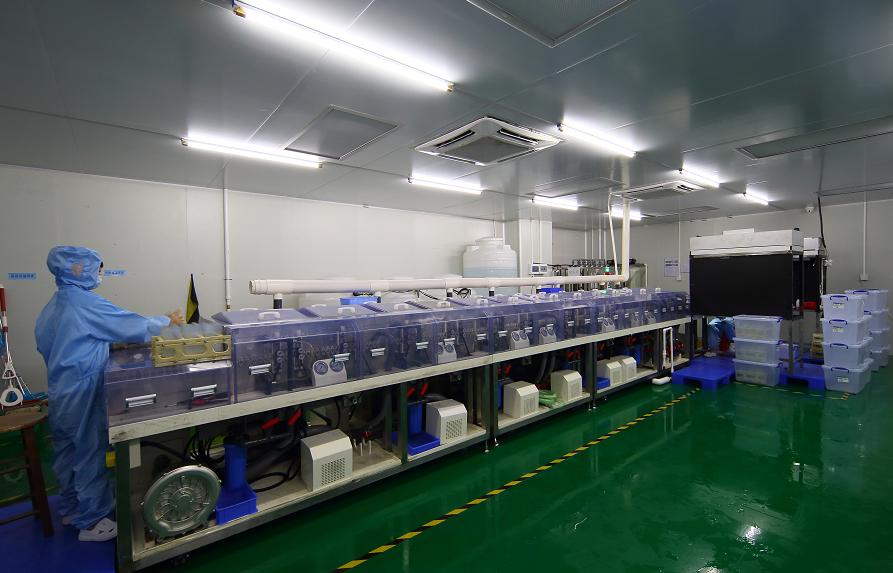 钢化膜全新市场，膜丽壳成为年轻人首选创业项目