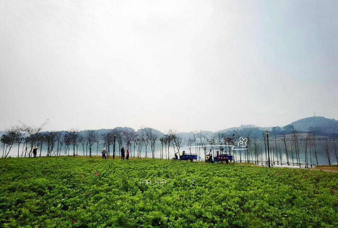 广州增城一日游必去景点推荐,广州增城旅游攻略必去景点