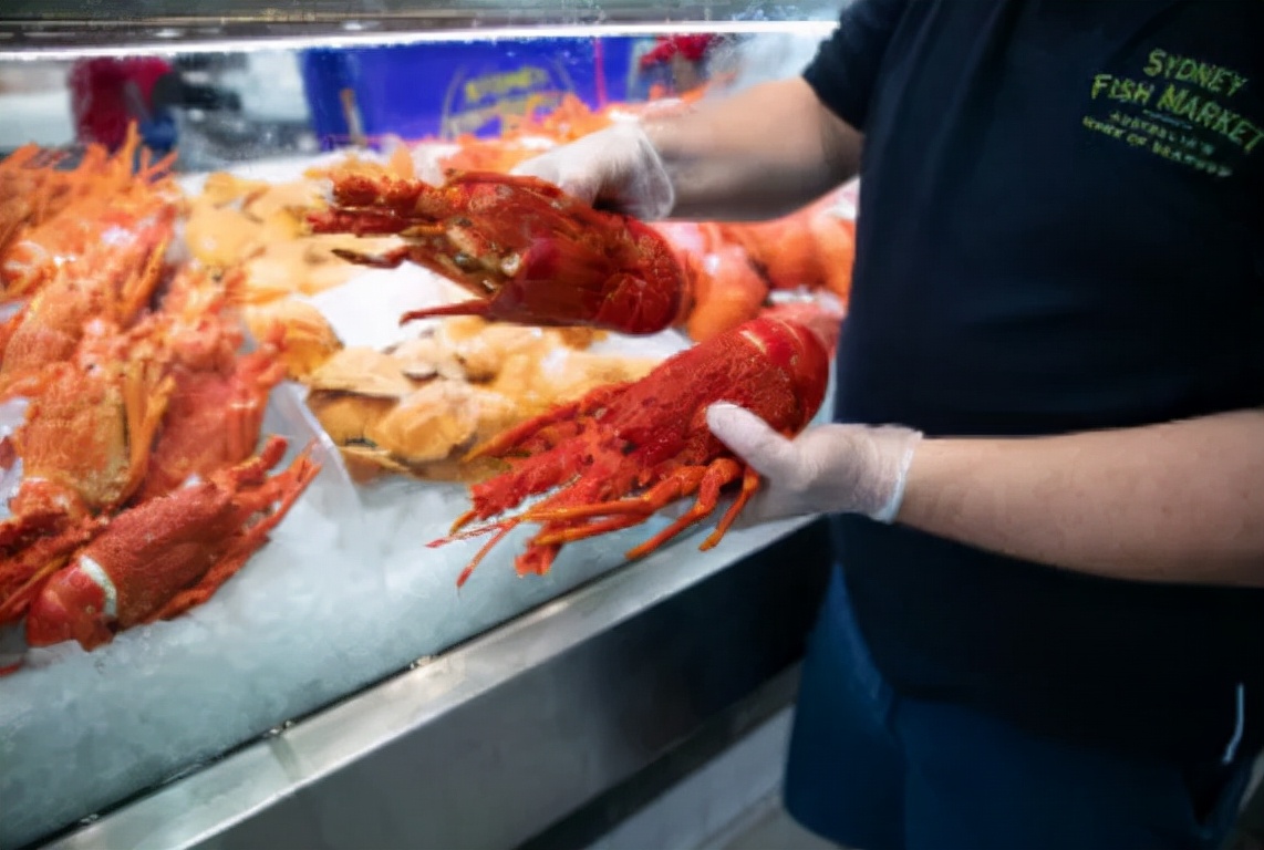 鎮夊凹鍦ｈ癁鑺傚崕浜鸿,鎮夊凹鍦ｈ癁鍋囨湡