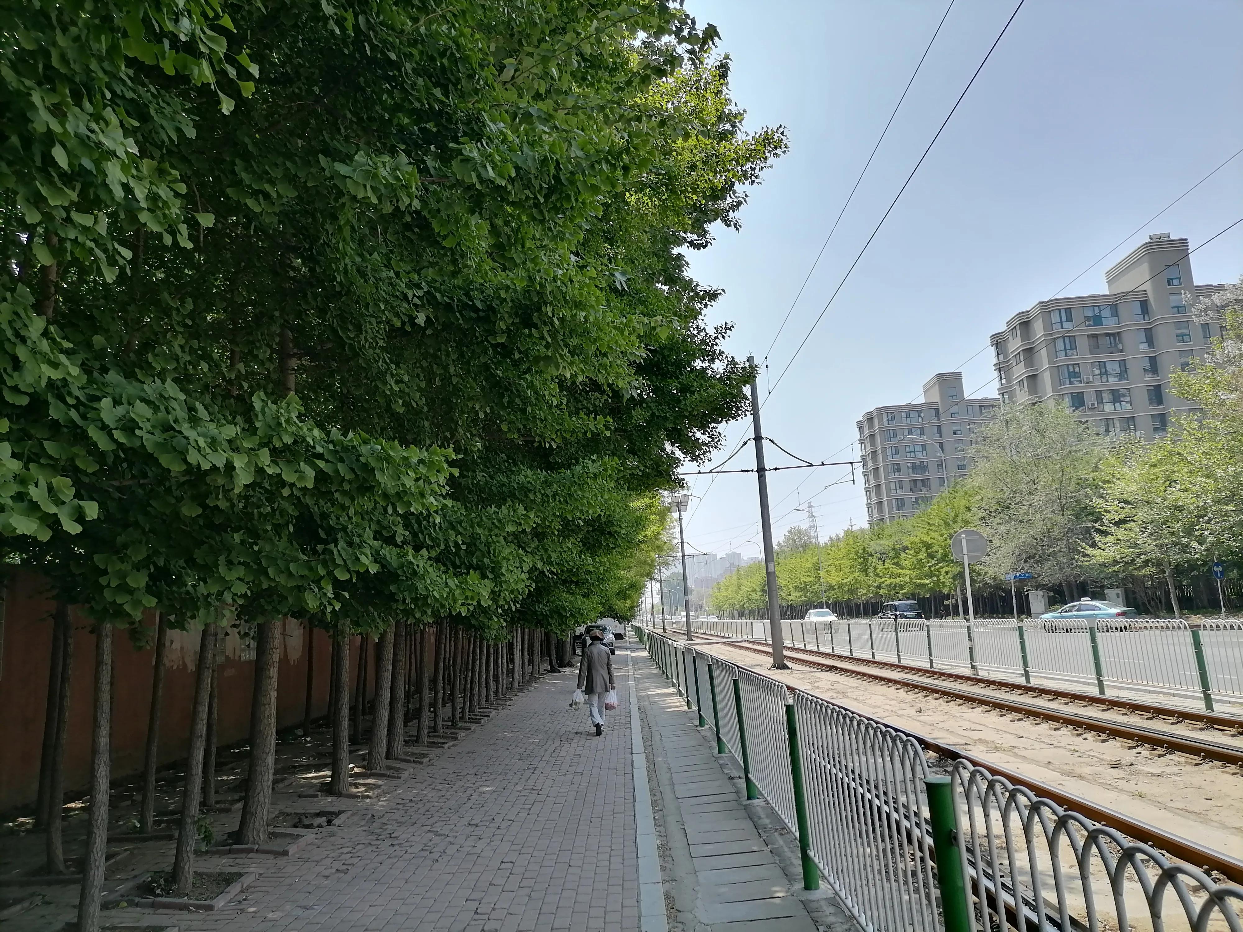 到大连星海广场应该玩点什么,大连兴工街到甘井子万达坐什么车