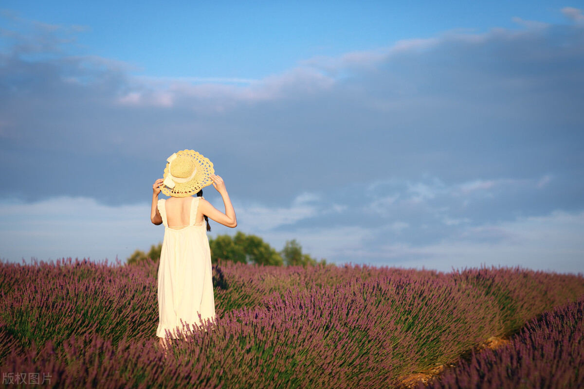 小小说金包银,小小说包包