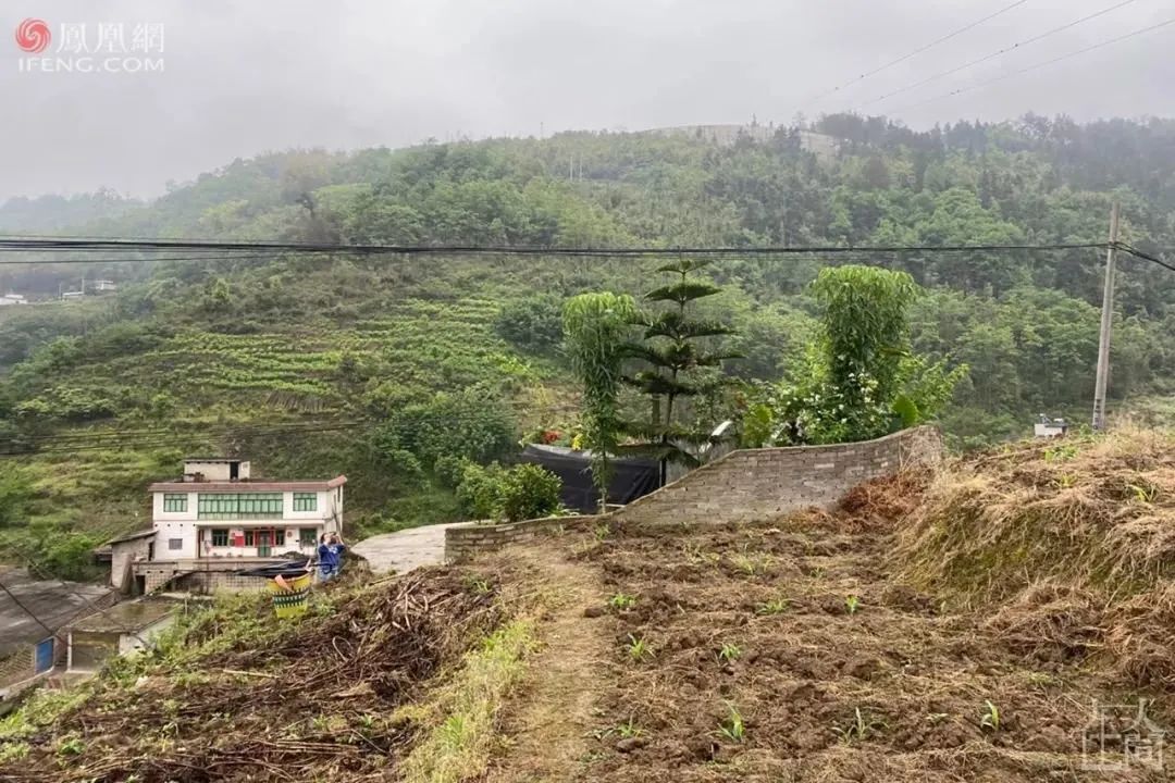 17宀佺敺瀛╂煬鍩斿鍚啢鑰屾,19宀佸皯骞存儴姝绘煬鍩斿鍚庝簨杩借釜