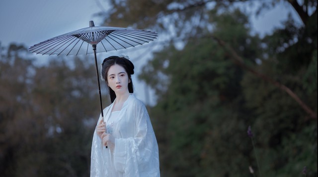 雪漫*宫东**：王者博弈，深不可测的六皇子，为争太子，拉拢将军府