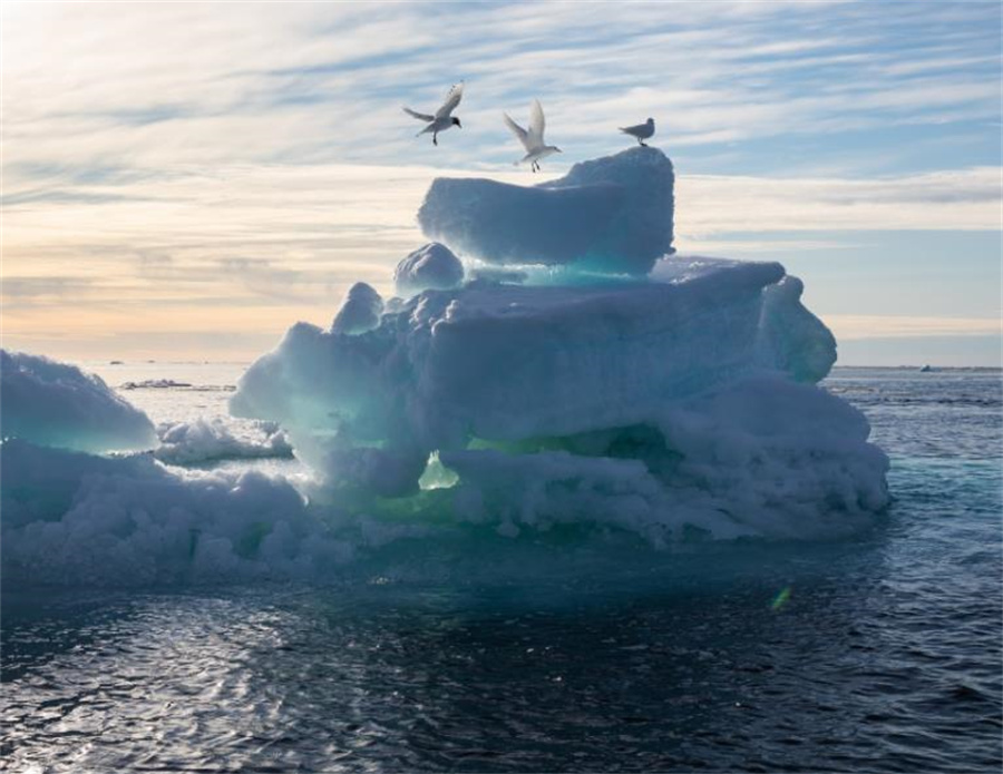美国女人的收藏品,全美服装比赛上的佳丽,40张照片带你看全球