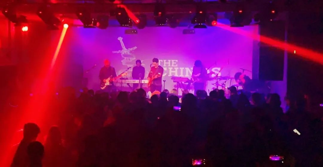 基诺乐队谢欣：以热爱来抵岁月的漫长#麻乐音乐专访