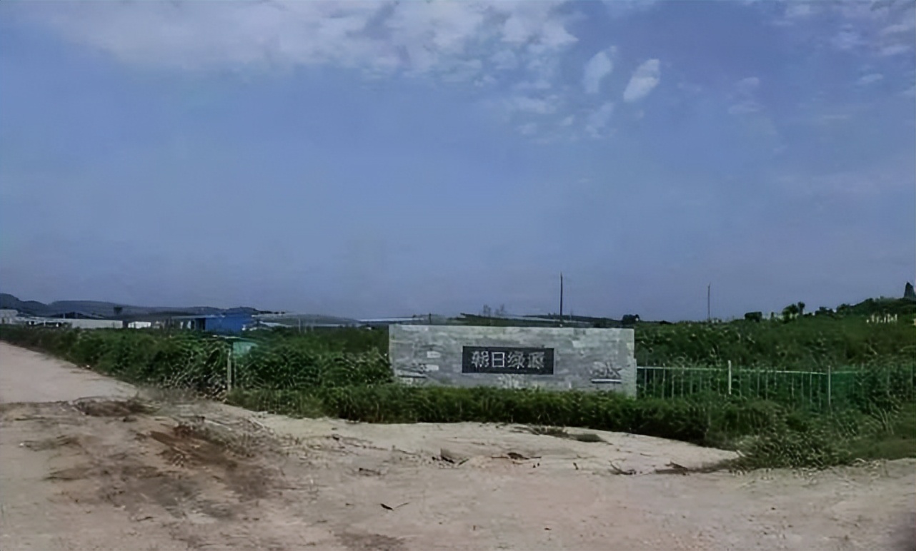 日本人在山东租了1500亩地,日本人在山东租地1500亩现状