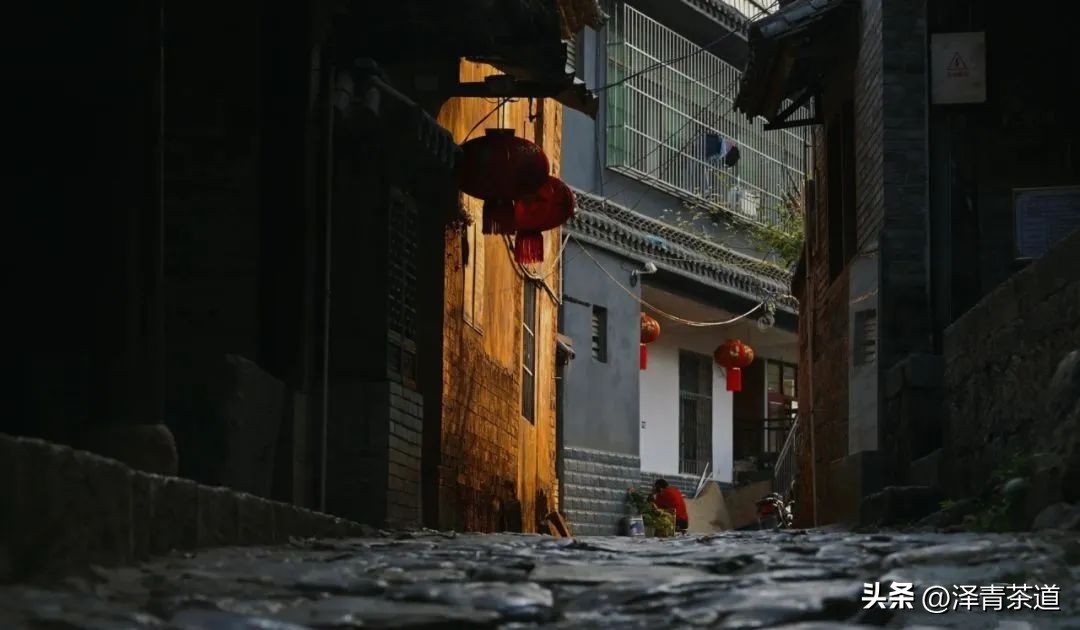 易武六大茶山茶的特点,易武茶的特点