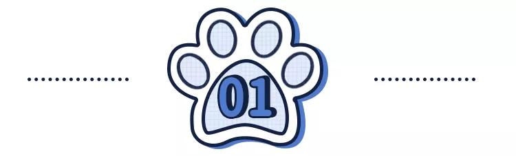 “猫咪发情，可以用棉签帮它爽爽吗？”