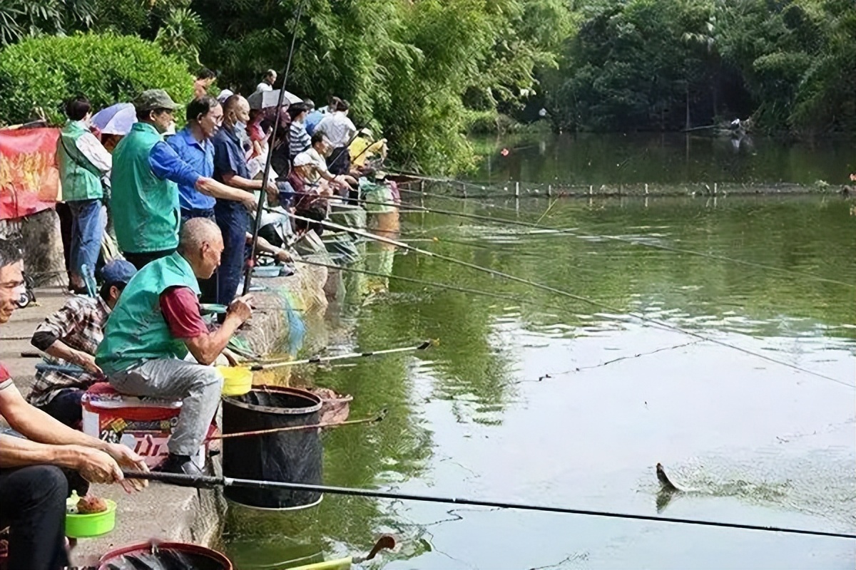 深圳鱼获多的钓鱼场,深圳最新钓鱼地点推荐