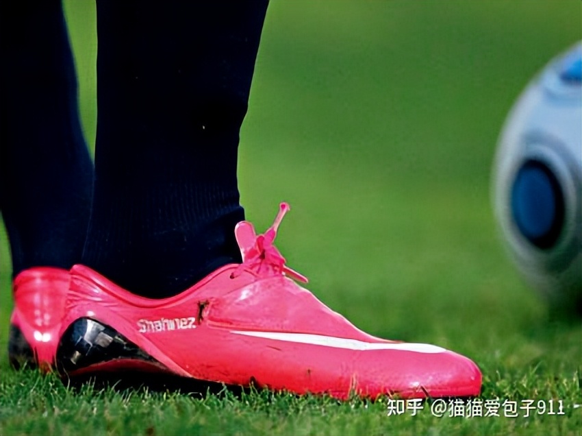 “蓝白相间,至死不移”