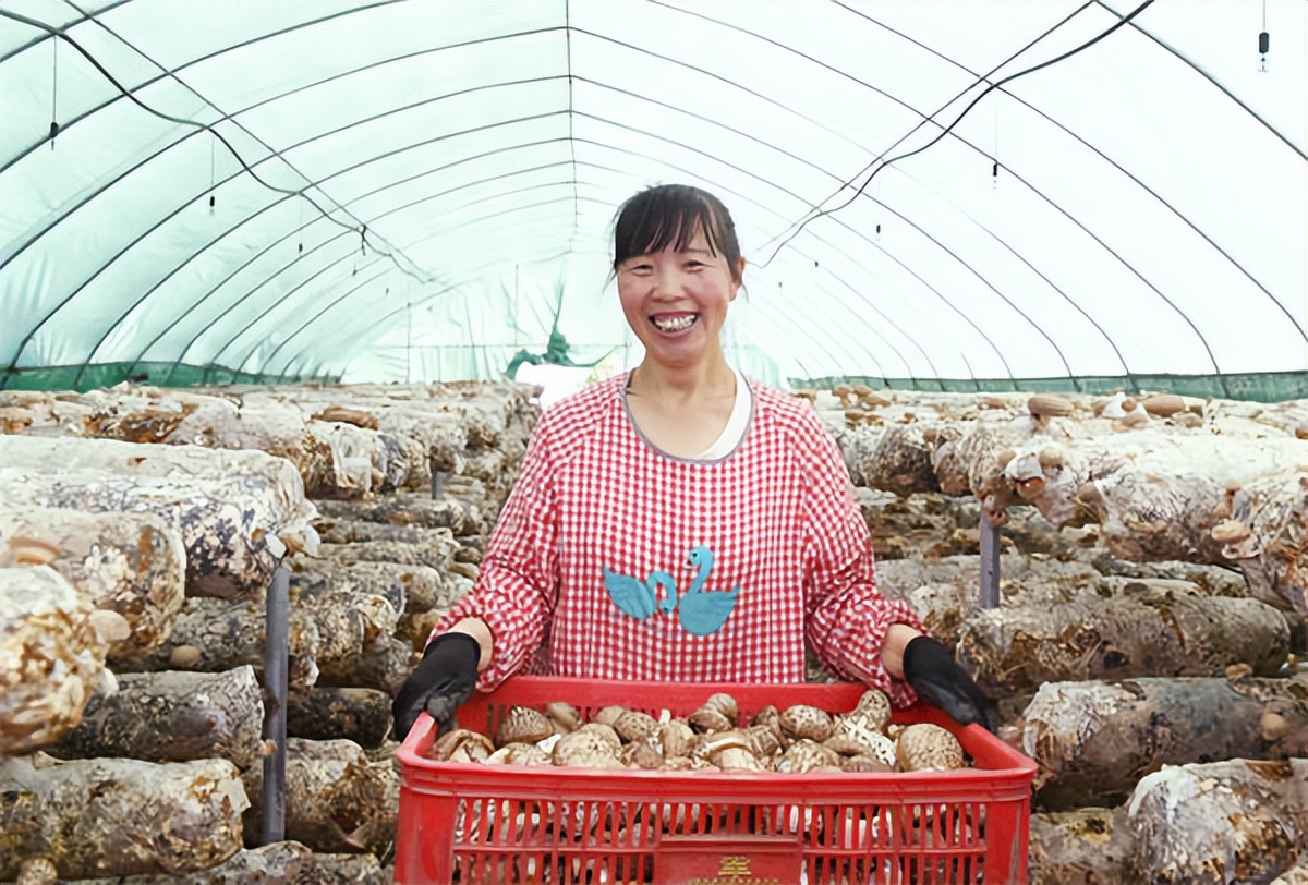 全国脱贫攻坚先进个人陈新胜,2019年脱贫攻坚先进村典型事迹