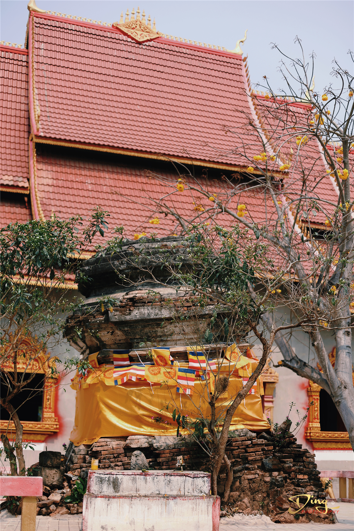 老挝之旅带你了解真实的老挝,去老挝攻略最新