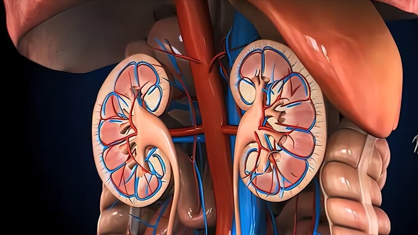 阿司匹林和阿托伐他汀吃多久停药,阿司匹林阿托伐他汀要终身服用吗