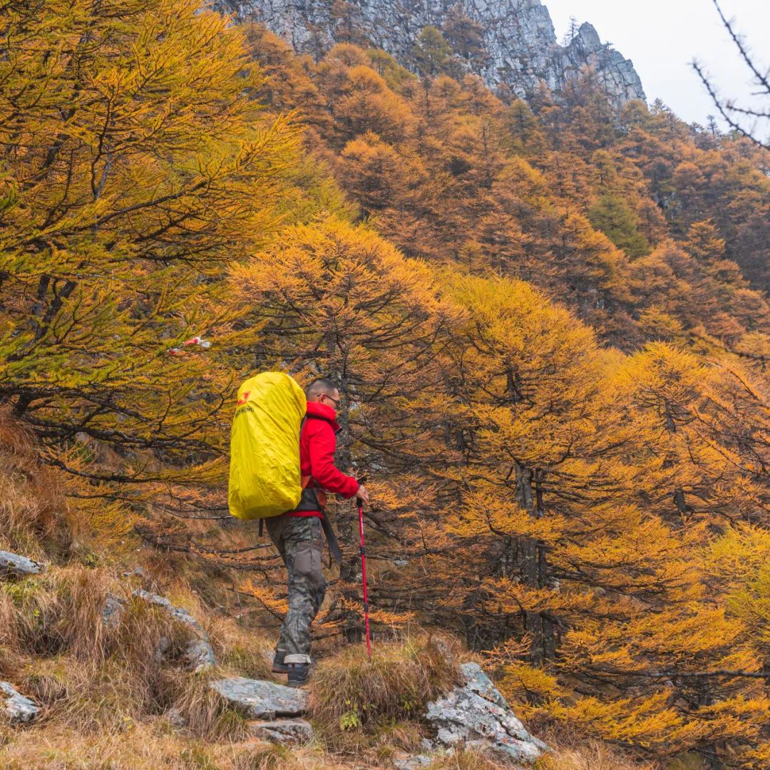 太白山是陕西最高点吗,秦岭最高峰太白山