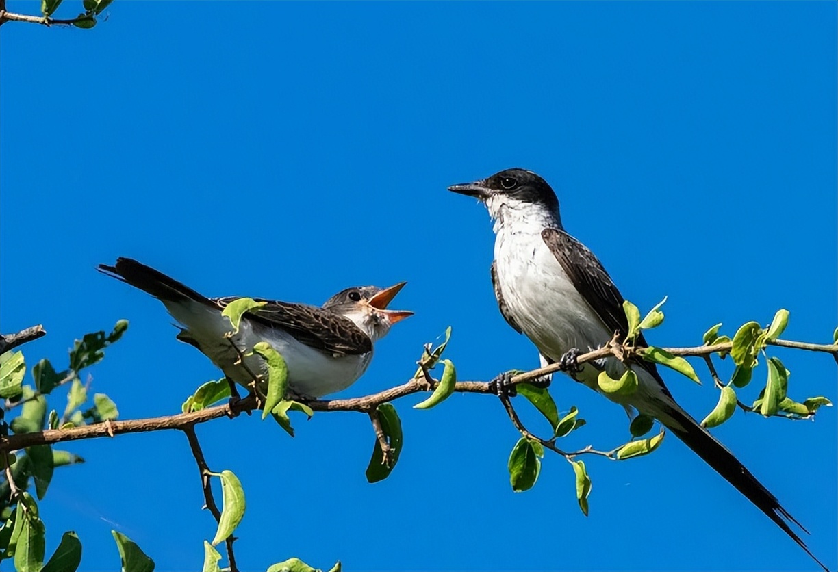 那些意境绝美的古诗词,豪放大气的10首诗词
