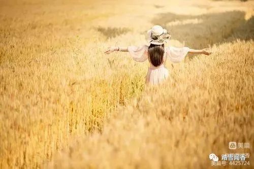 风吹麦浪电影,风吹麦浪经典散文