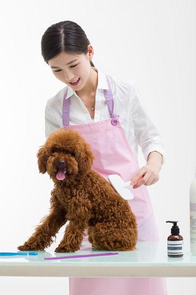 哪些挣钱的不起眼的行业,新加坡看着不起眼却挣钱的行业