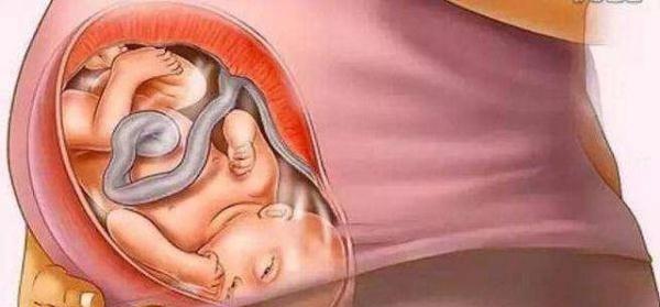 母爱伟大！十张图带你看胎儿成长的壮丽过程