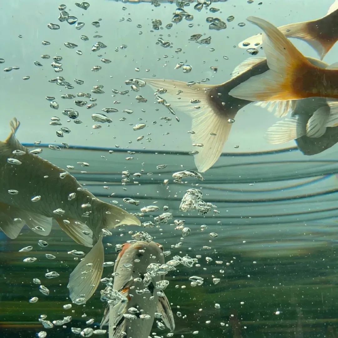 微信朋友圈动态背景图,微信朋友圈背景图暴富