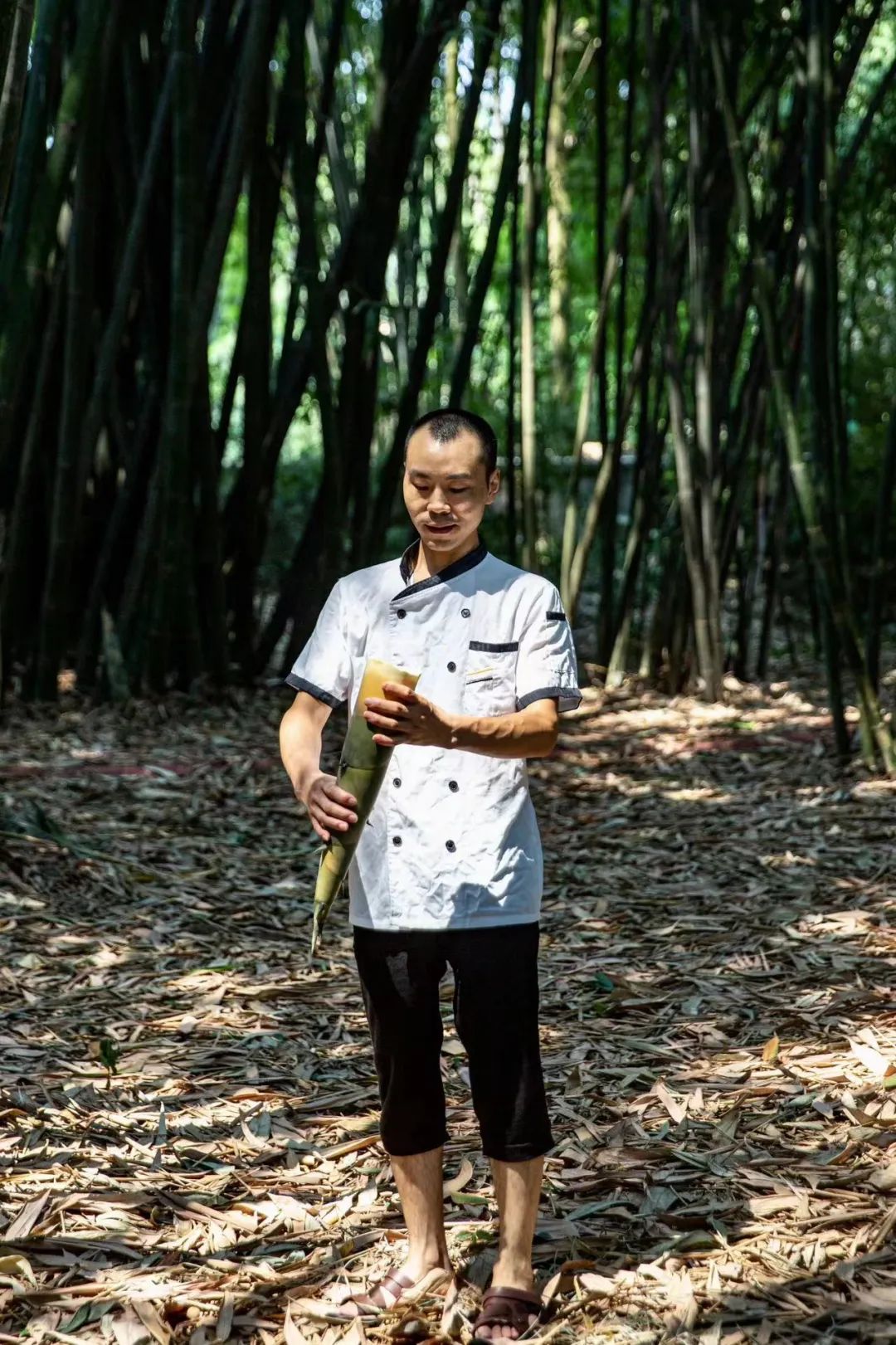 到眉山拜访苏东坡,到眉山旅游景点