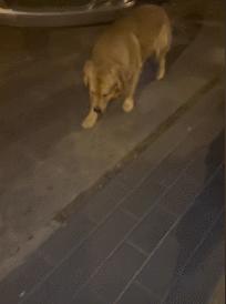 女厕的诡异事件,诡异女厕