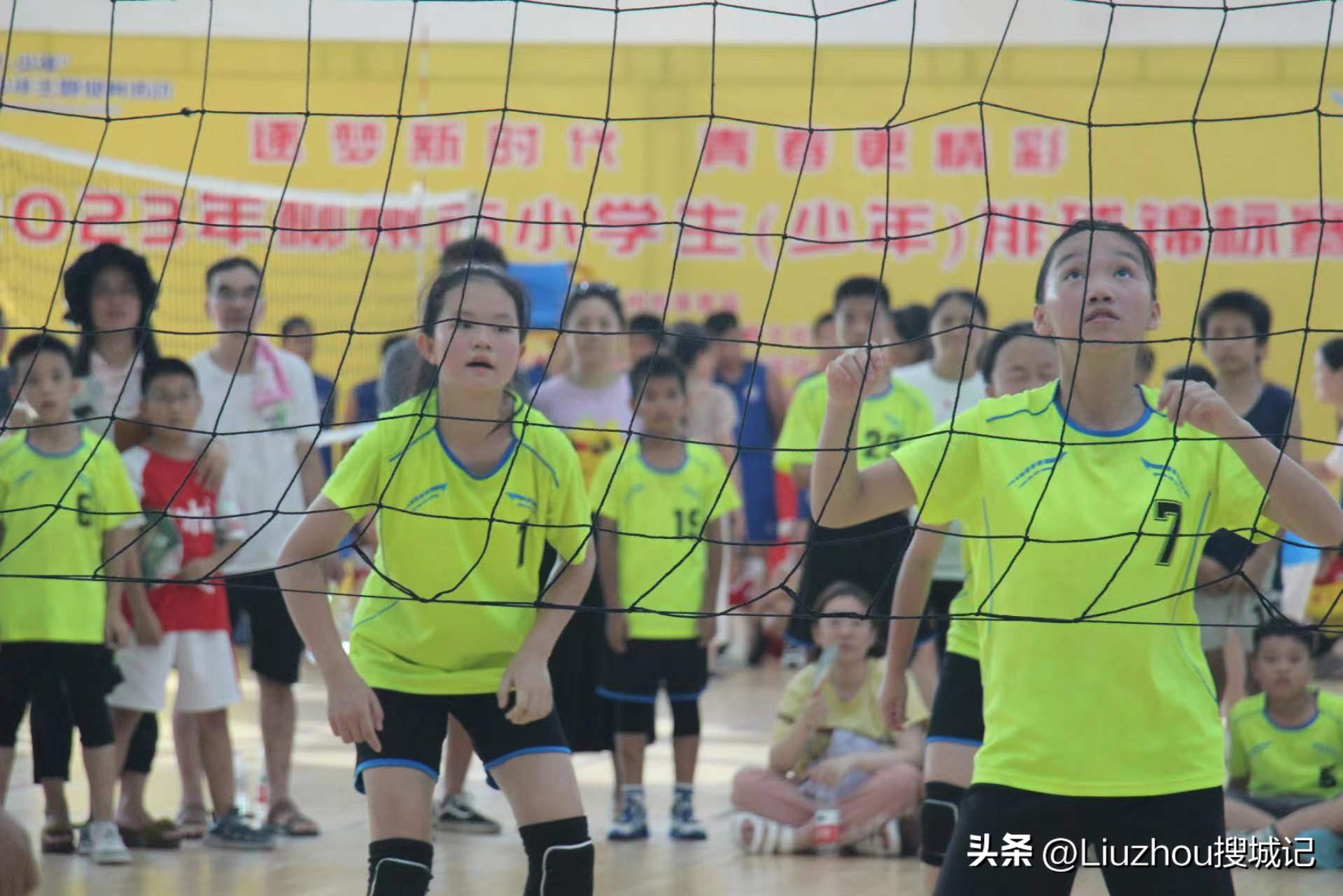 包揽全部冠亚军视频,包揽全部冠亚军