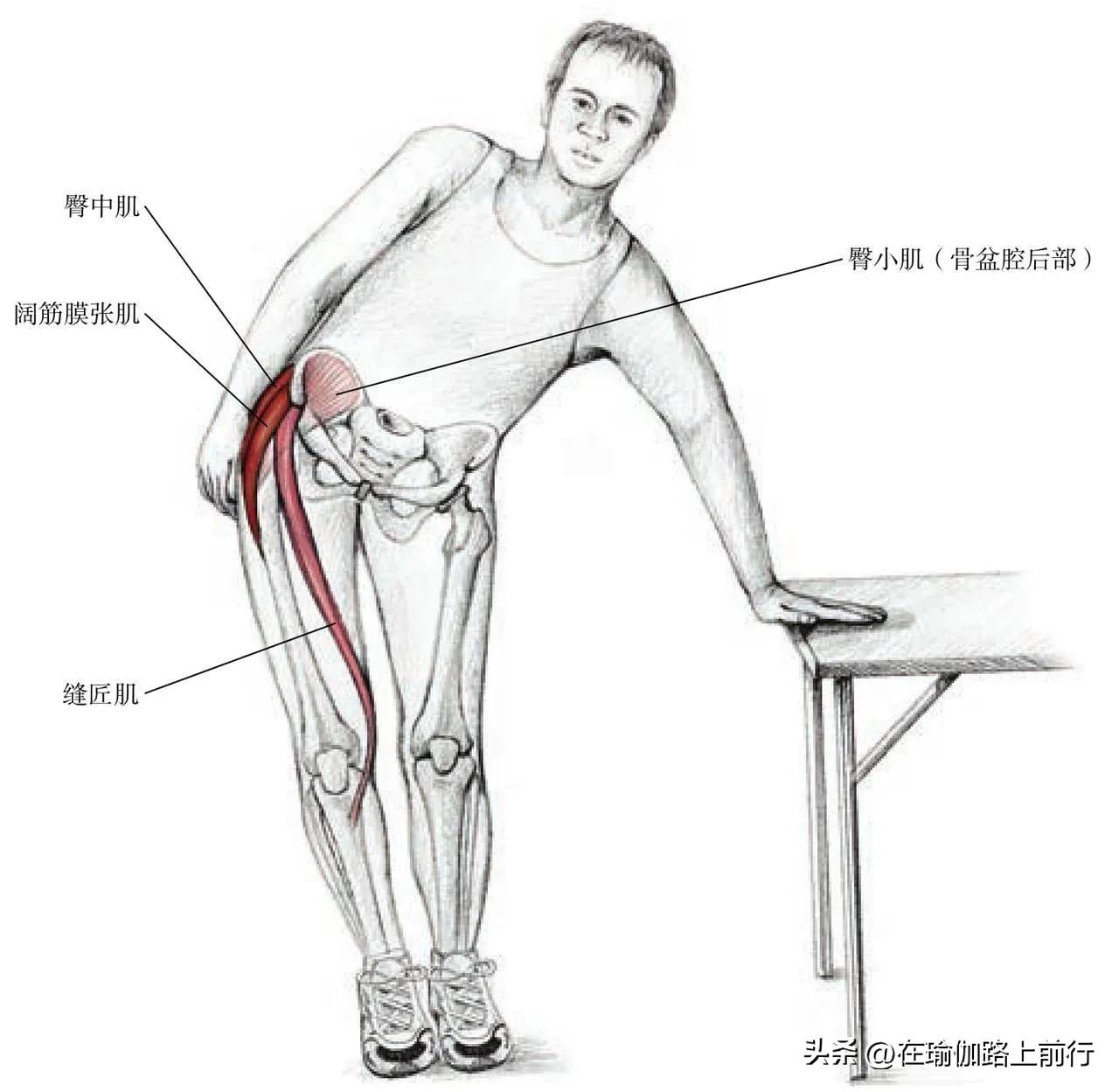 大腿外展肌群怎么拉伸,侧身外展肌拉伸