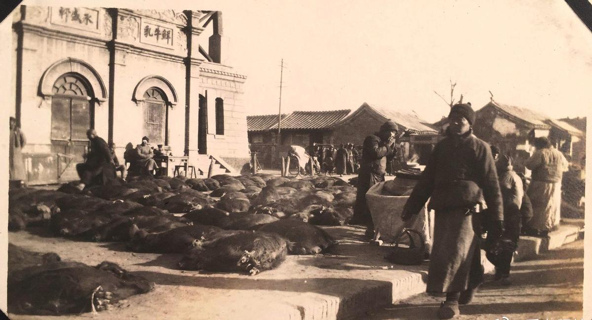 集中营惨状：30张老照片揭示妇女衣不遮体的悲惨命运！