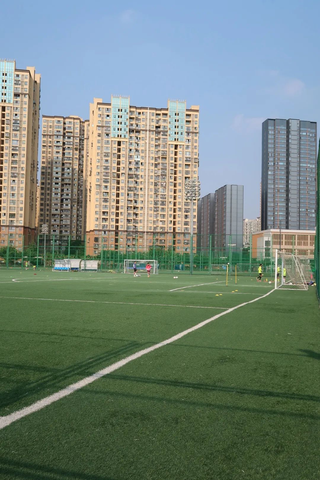 收藏价值的篮球推荐,收藏价值高乒乓球拍