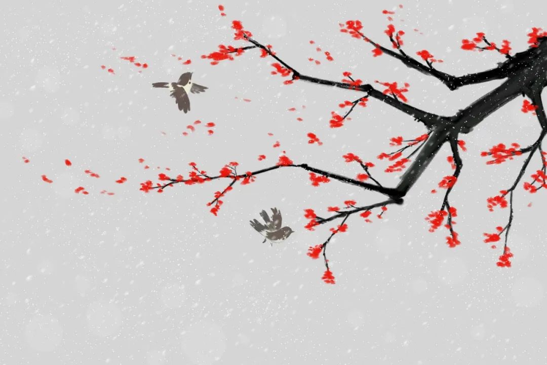 杜甫空谷有佳人,杜甫空谷