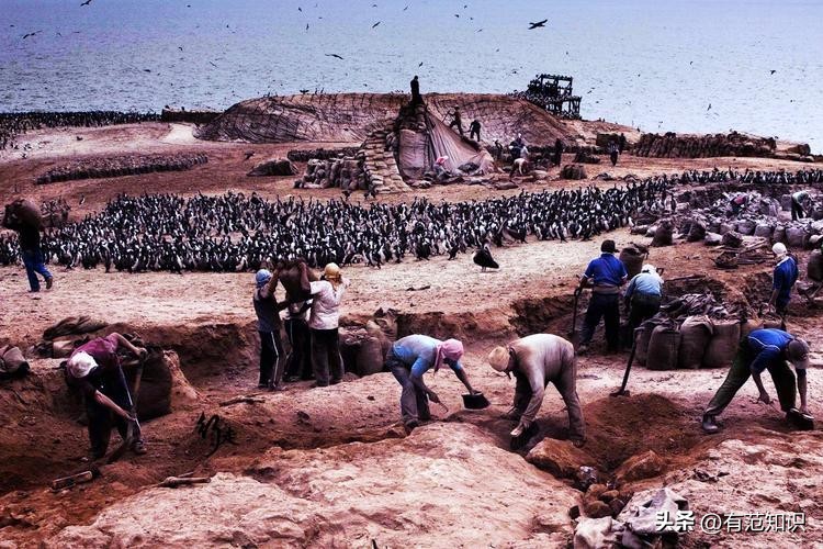 论尼罗河对埃及的影响,有关奴隶制度的文献综述