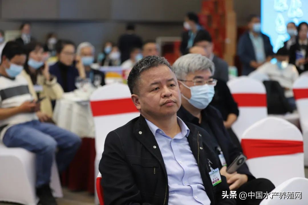 阳澄湖大闸蟹路线图,去阳澄湖大闸蟹攻略路线