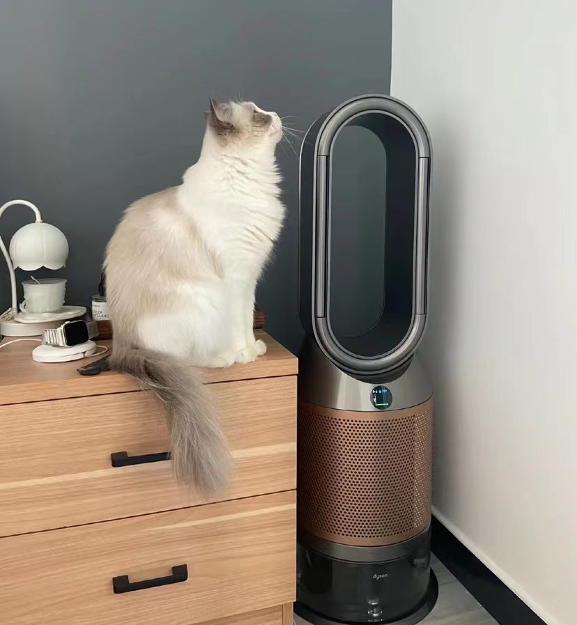 空气净化器戴森和莱克哪个好,3款热门空气净化器测评