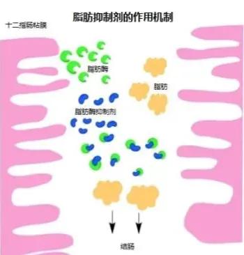 爆笑！得了甲流错吃*肥药减**，网友:吃了这药放的每个屁都不能信任