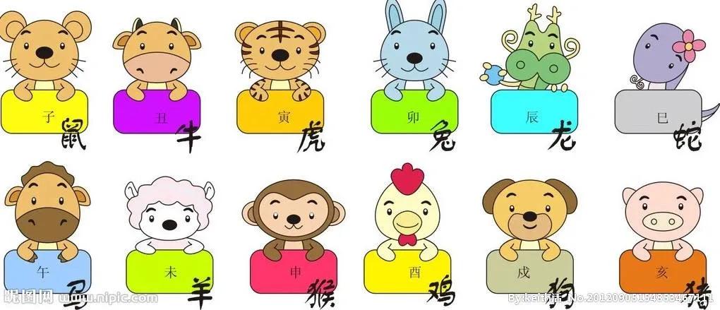 十二生肖每周运势播报及禁忌,十二生肖每日运势注意事项