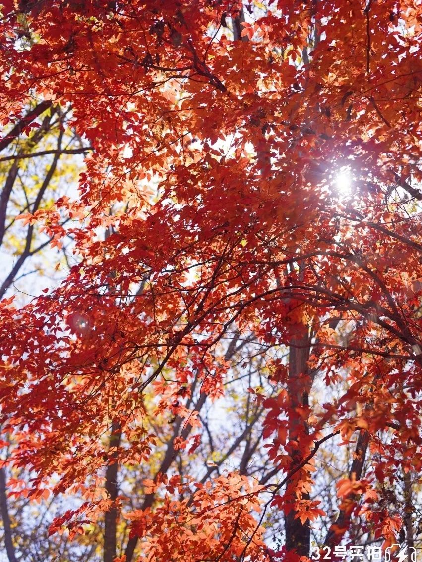 长白山的秋季,长白山夏天和秋天的区别