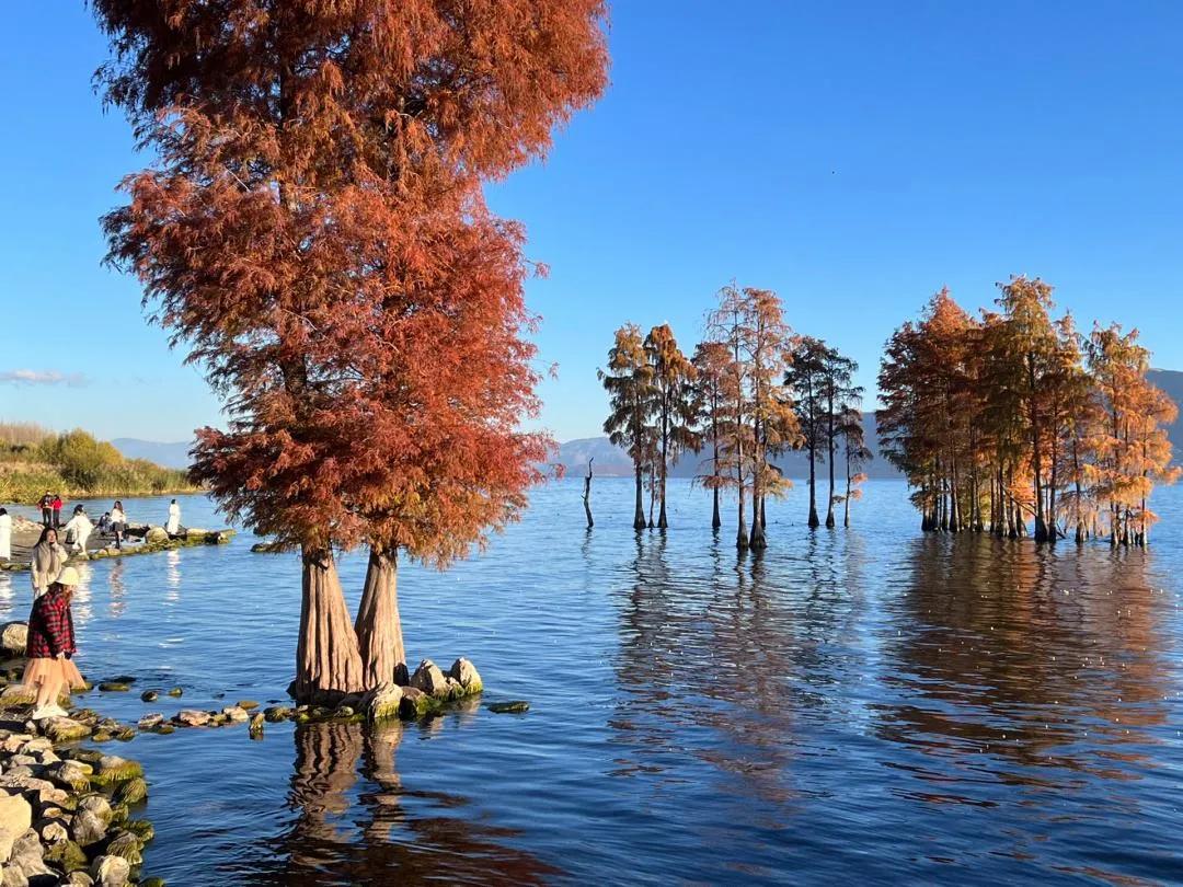 一天环游洱海旅游攻略,一天自驾环洱海攻略