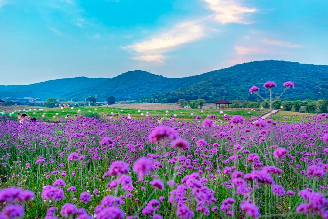 欧冠决赛无锡,欧冠巅峰对决即将打响