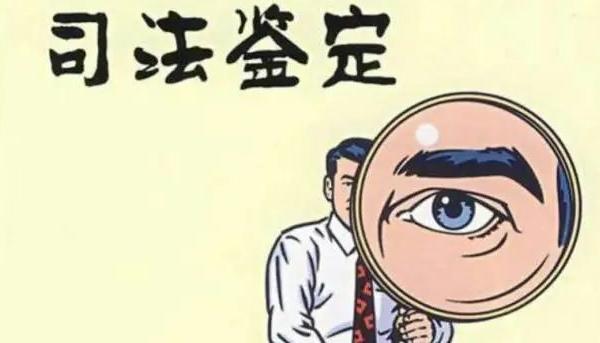 多次起诉后续治疗费，应对存在后续治疗的必要性及费用申请鉴定