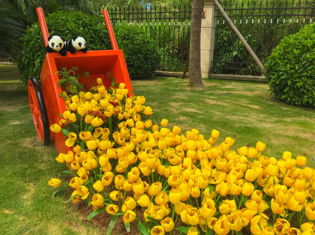 致爱520|用心“家”倍爱，让爱有家可栖