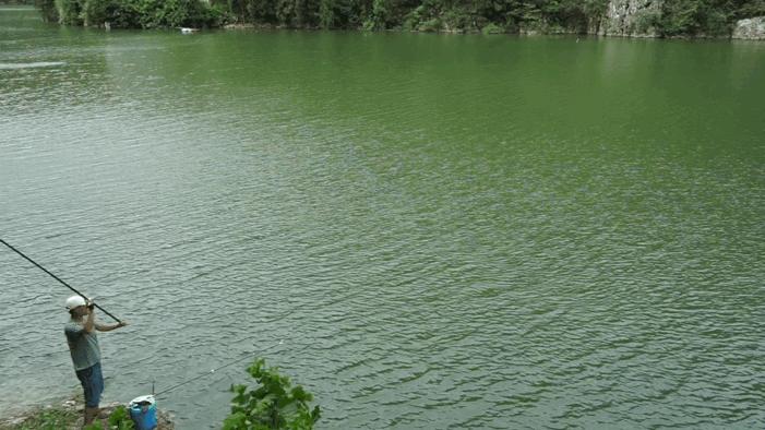 骑马挎枪黑坑竿,骑马挎枪钓鲫鱼