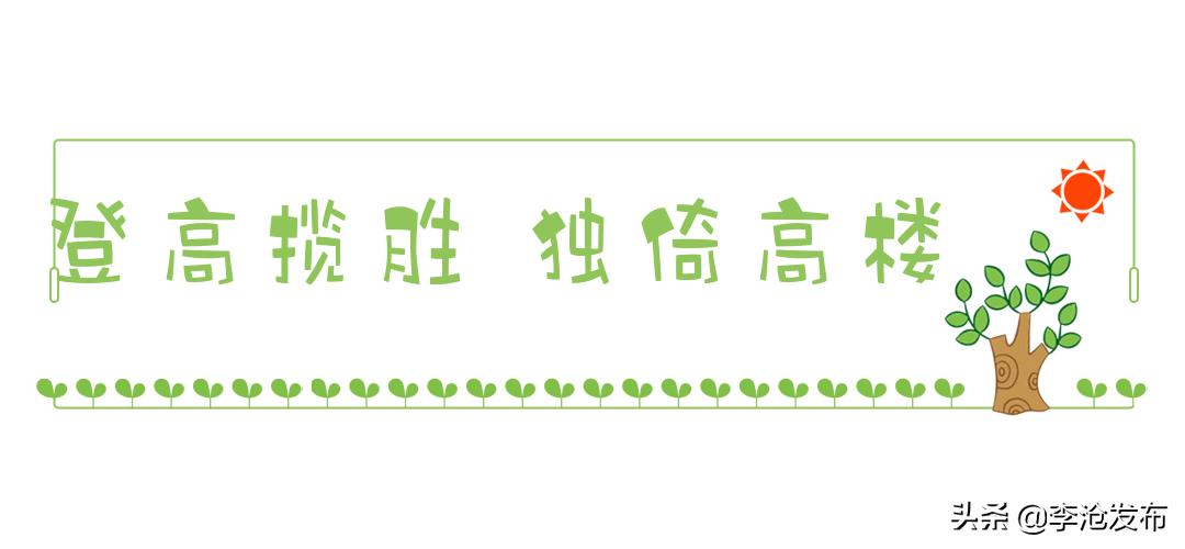 绿荫的夏天，快来解锁李沧这个小众宝藏之地！